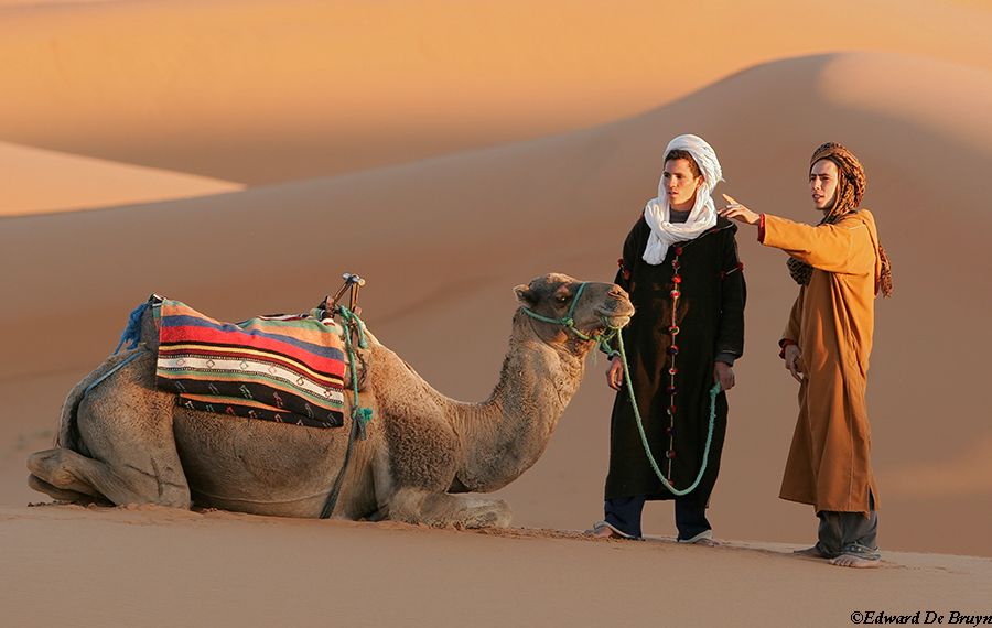 Morocco_Desert01