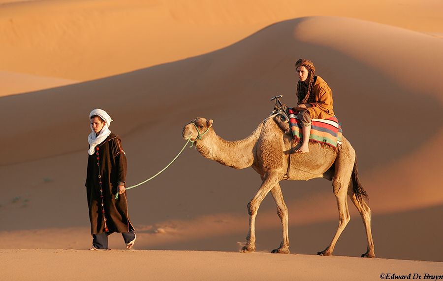 Morocco_Desert04