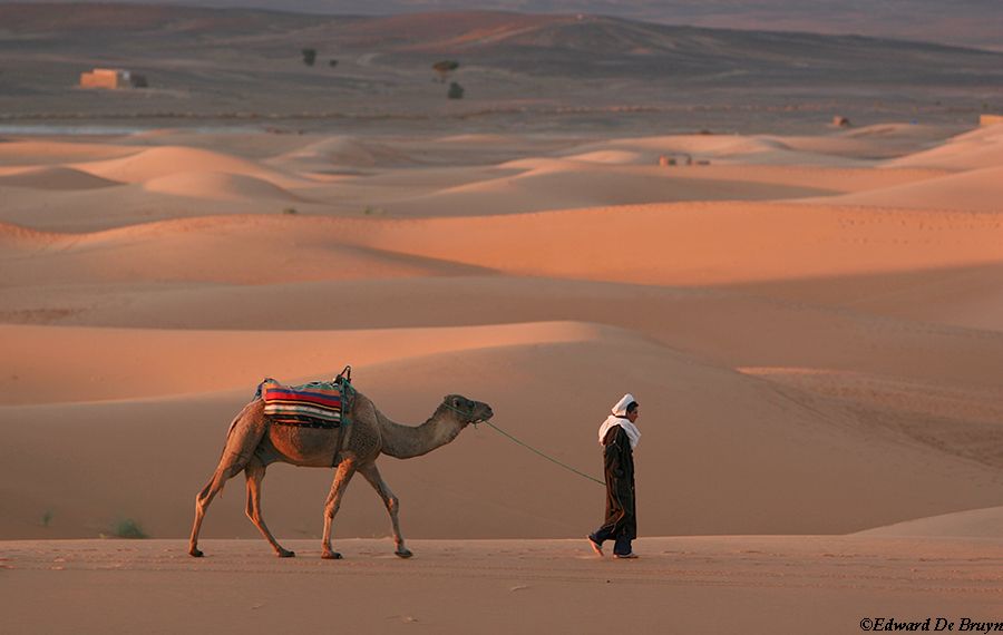Morocco_Desert08