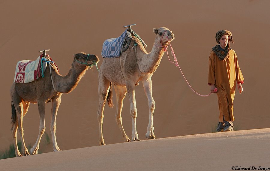 Morocco_Desert11