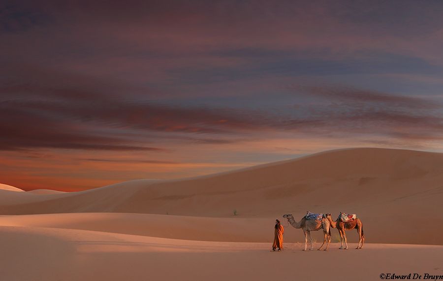 Morocco_Desert13